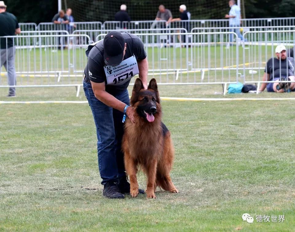 加拿大队前途光明！，Uzi新星反败为胜表现突出赛场气氛高涨-开云体育官方网站