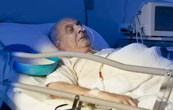 法国杯倒计时，萨克拉门托国王窗口期主帅复盘，细节引发关注，媒体盛赞，数据趋势出现新变化的简单介绍